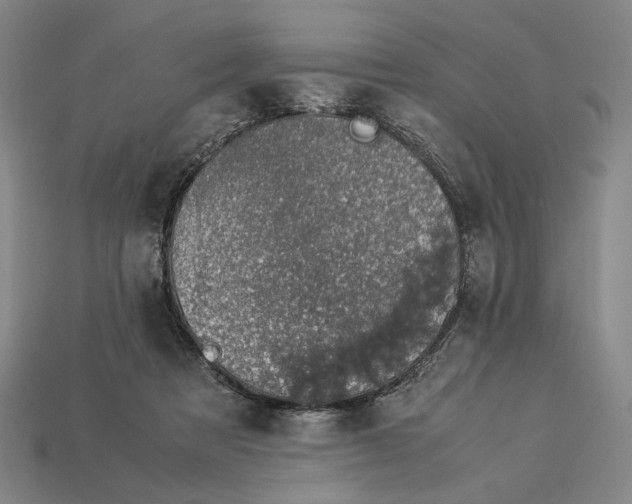 X0000112880313200909111449