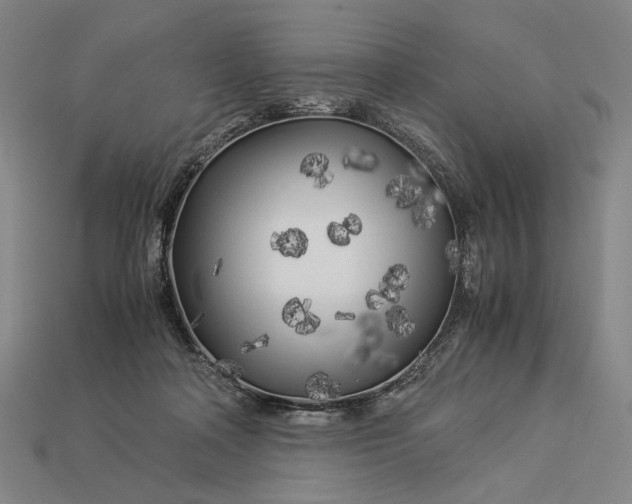 X0000112880314200909111449