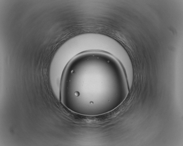 X0000112880317200909111449