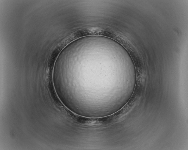 X0000112880319200909111449