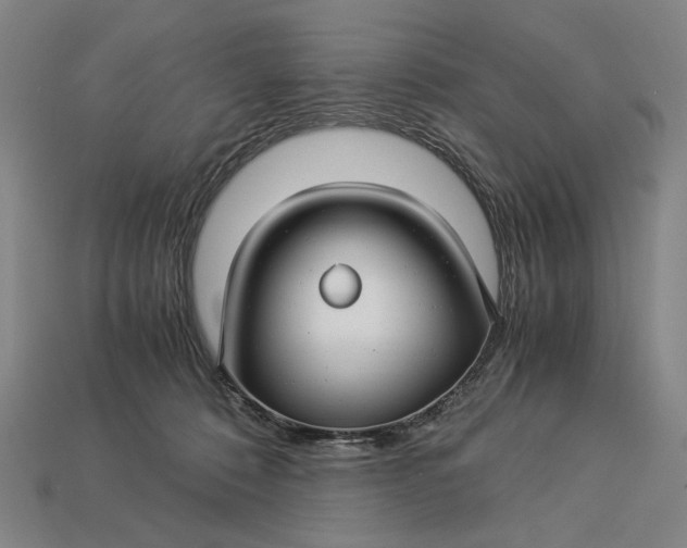 X0000112880320200909111449