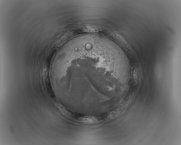 X0000112880322200909111448