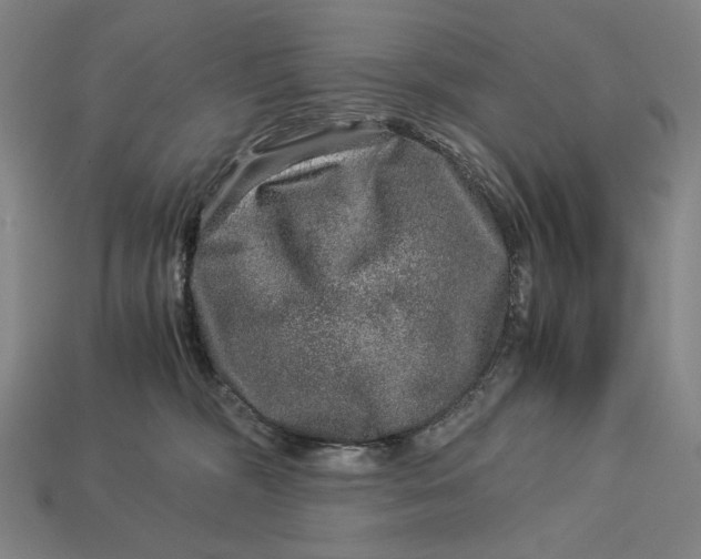 X0000112880326200909111448