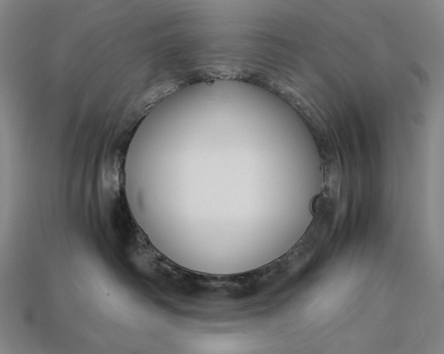 X0000112880334200909111448