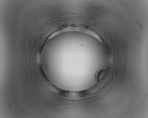 X0000112880335200909111448