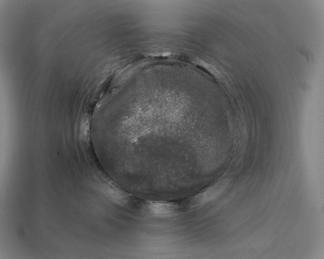 X0000112880336200909111448