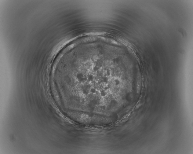 X0000112880337200909111448