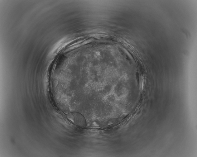 X0000112880339200909111448