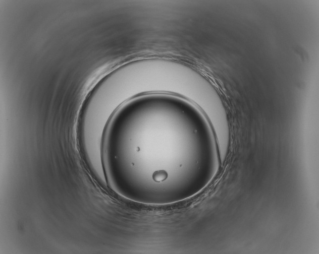 X0000112880340200909111448