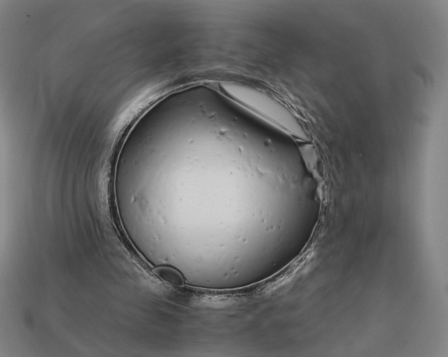 X0000112880341200909111448