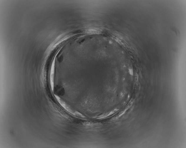 X0000112880343200909111448