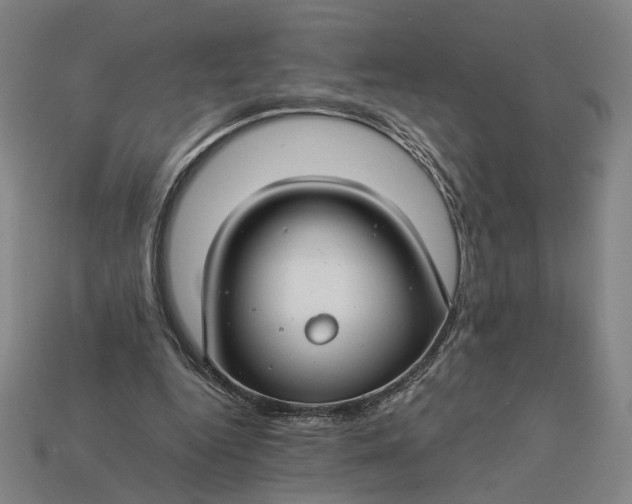 X0000112880344200909111448