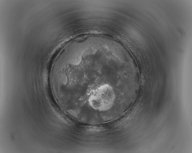 X0000112880347200909111448