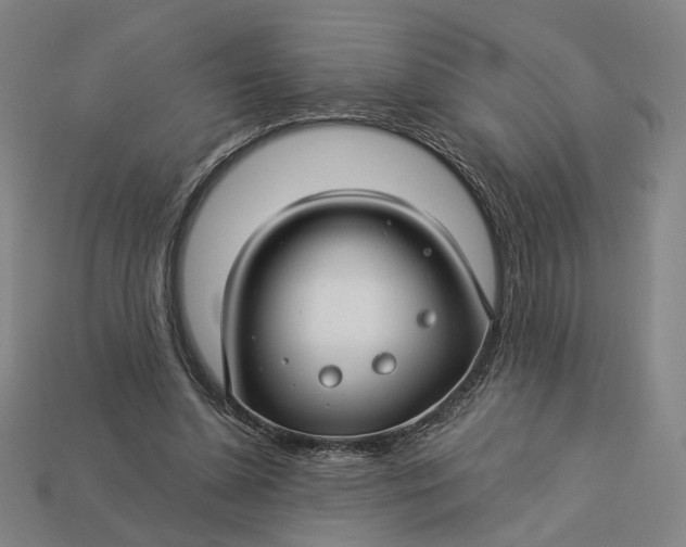 X0000112880348200909111448