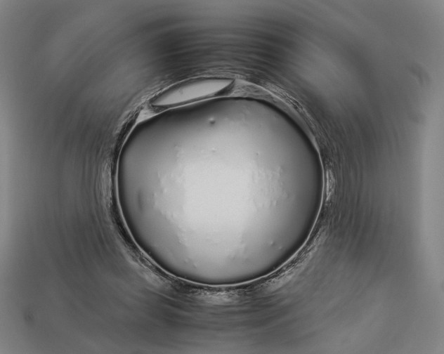 X0000112880349200909111448