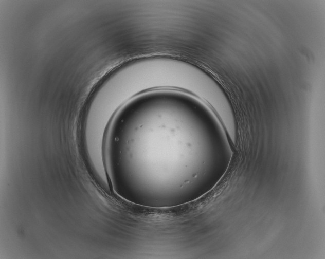 X0000112880350200909111448