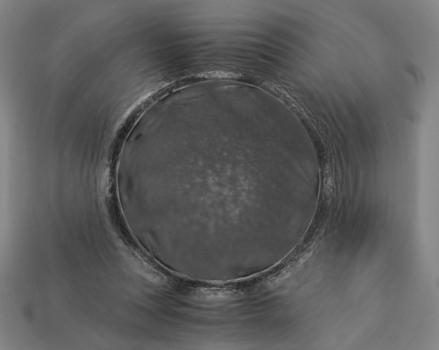 X0000112880351200909111448