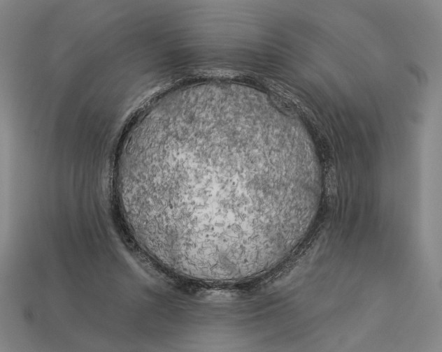 X0000112880352200909111448