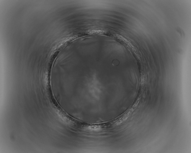 X0000112880353200909111448