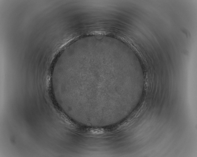 X0000112880355200909111448