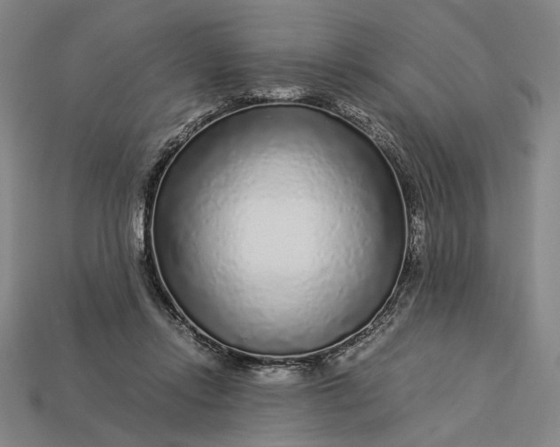 X0000112880358200909111448