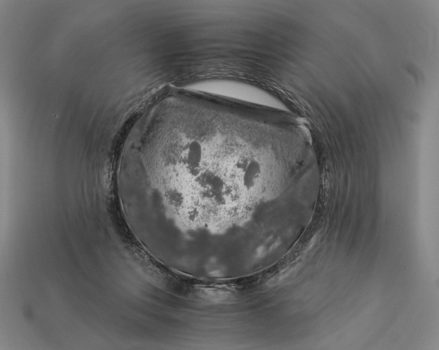 X0000112880359200909111448