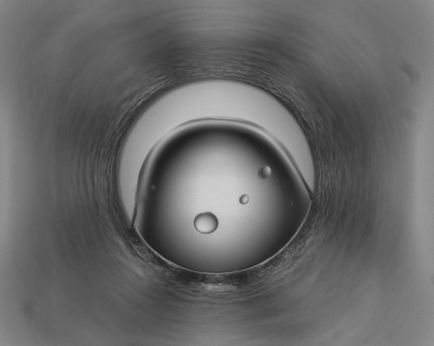 X0000112880360200909111448