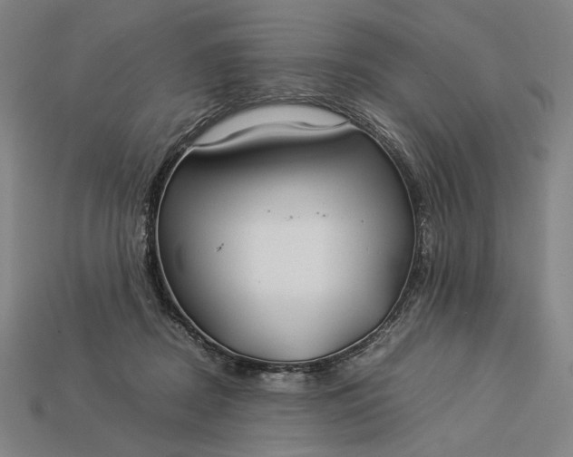 X0000112880362200909111448