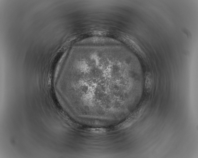 X0000112880363200909111448