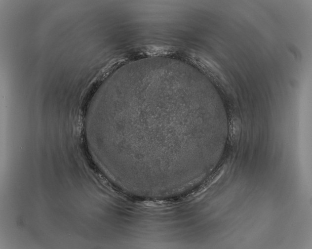 X0000112880367200909111448