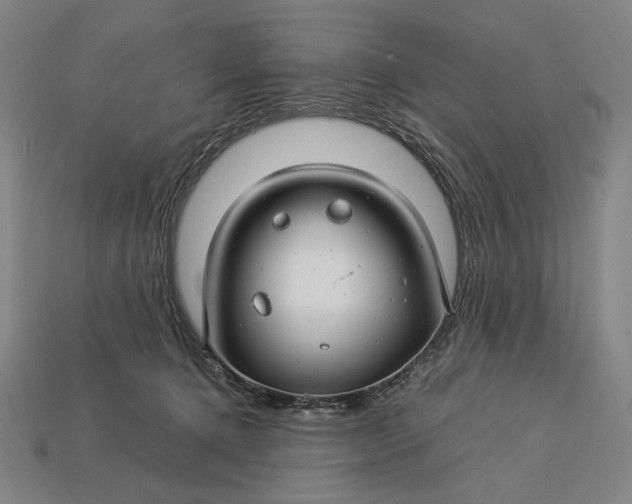 X0000112880368200909111448