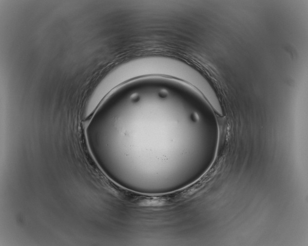 X0000112880369200909111448