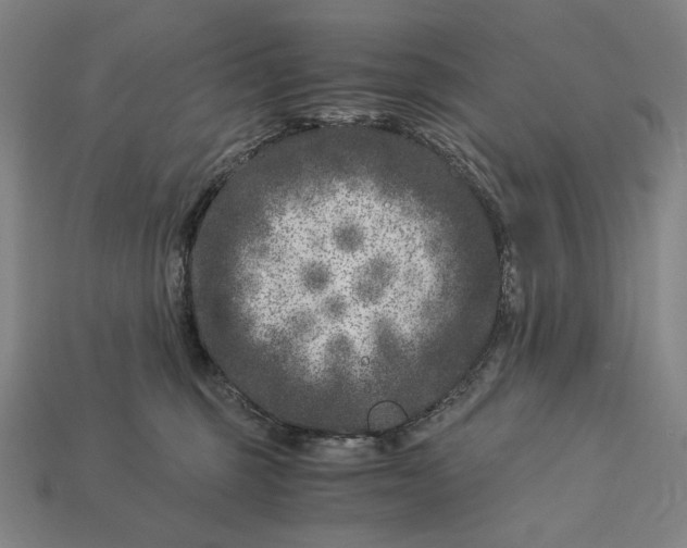 X0000112880375200909111448