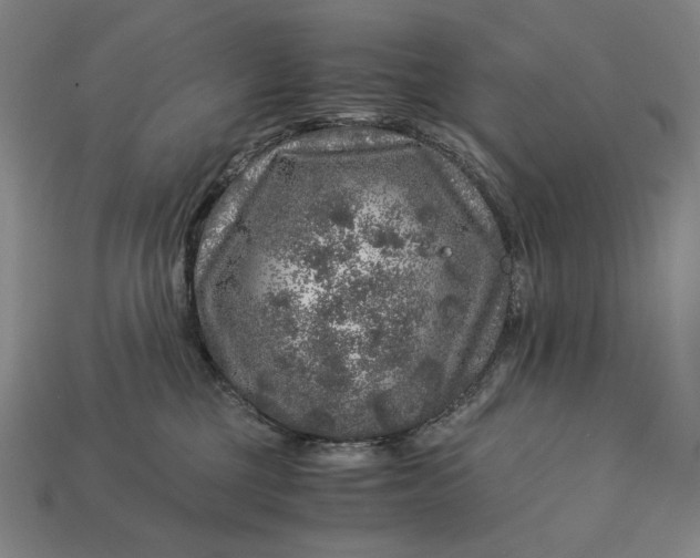 X0000112880377200909111448