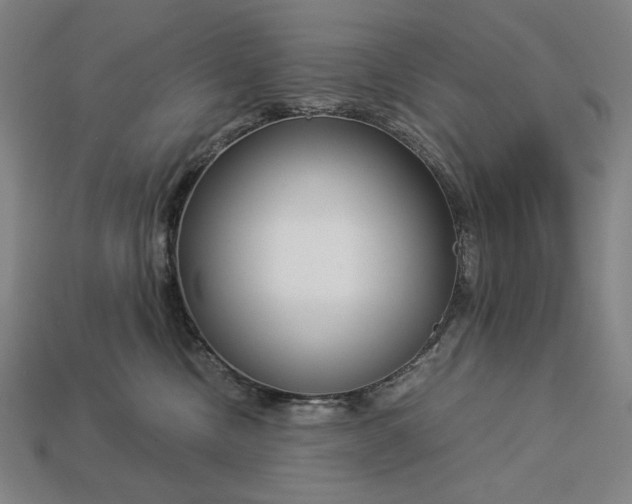 X0000112880378200909111448