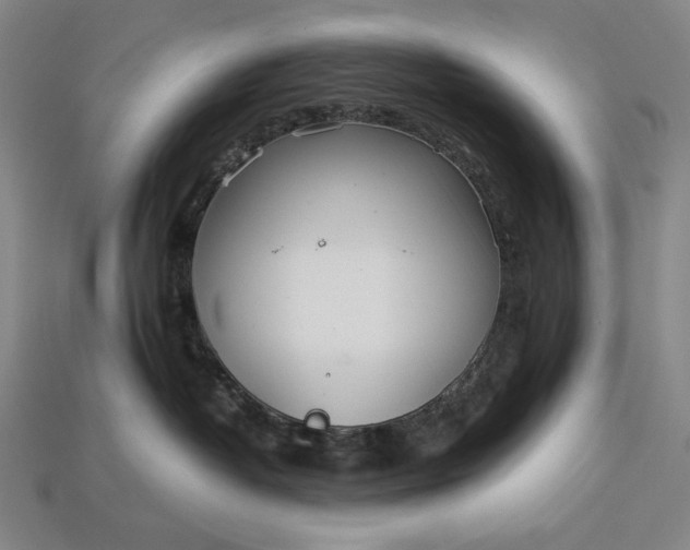 X0000112880382200909111448