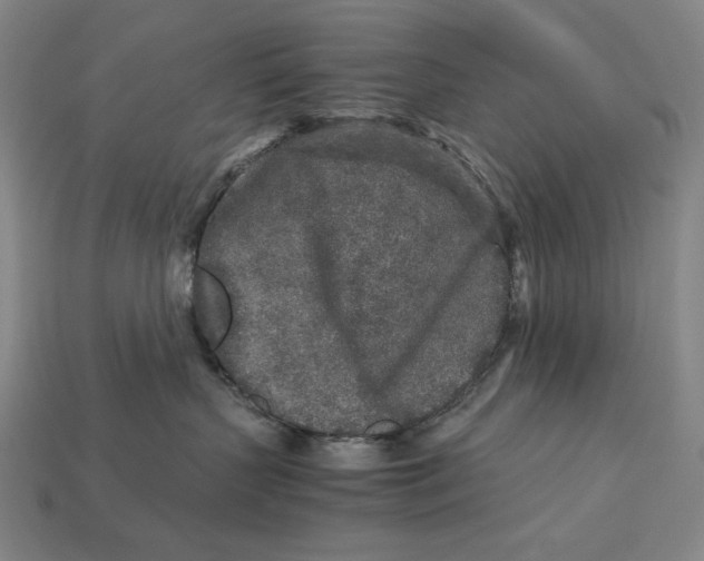 X0000112880383200909111448