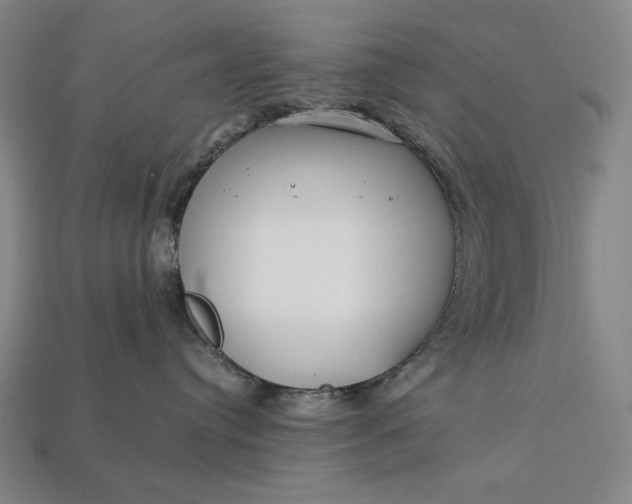 X0000112880384200909111448