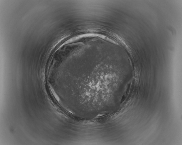 X0000112880386200909111448