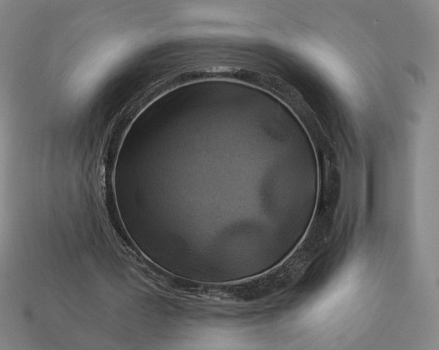 X0000112880387200909111448