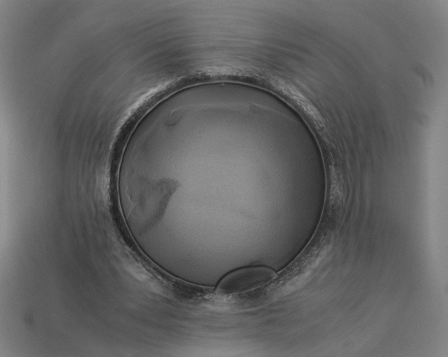 X0000112880391200909111448