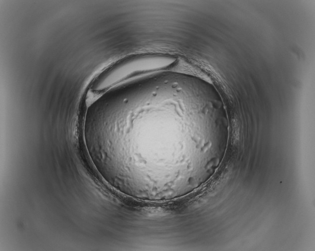 X0000112880392200909111448