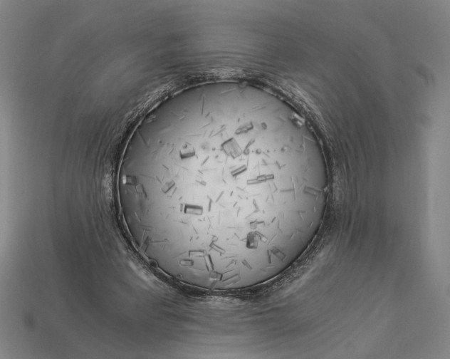 X0000112880393200909111448