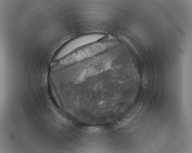 X0000112880394200909111448