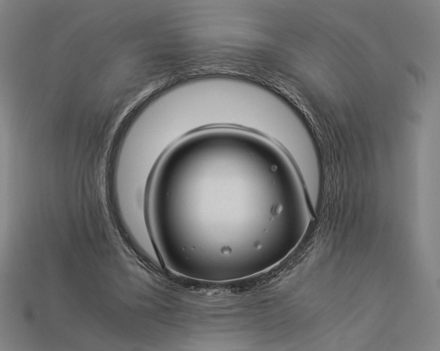 X0000112880395200909111448