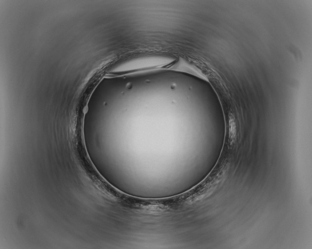 X0000112880396200909111448