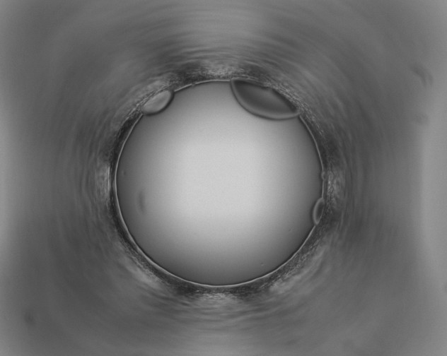 X0000112880397200909111448