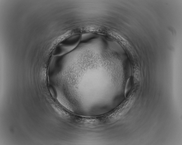 X0000112880401200909111447