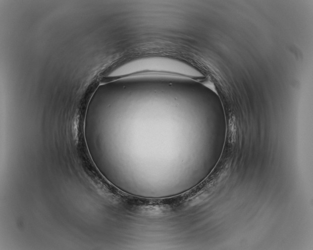 X0000112880404200909111447