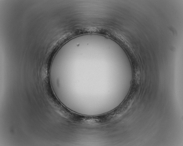 X0000112880407200909111447